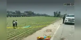 Carabayllo: ciudadanos encuentran cadáver de hombre en una chacra cerca de Canta Carabayllo: ciudadanos encuentran cadáver de hombre en una chacra cerca de Canta