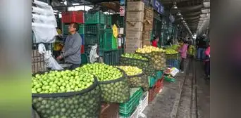 Precio del limón se sitúa alrededor de los S/9 el kilogramo al por mayor Precio del limón se sitúa alrededor de los S/9 el kilogramo al por mayor