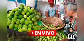 Precio del limón HOY 5 de octubre: cuánto cuesta el kilo en Lima y regiones del Perú Precio del limón HOY 5 de octubre: cuánto cuesta el kilo en Lima y regiones del Perú