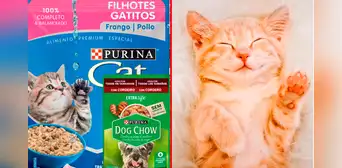 Indecopi ordenó RETIRAR del mercado 28 productos de Nestlé para mascotas: el motivo Indecopi ordenó RETIRAR del mercado 28 productos de Nestlé para mascotas: el motivo