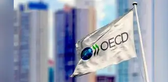 OCDE demanda al Perú una reforma tributaria en 3 años