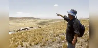 Puno: se viene escasez de granos de quinua por falta de agua Puno: se viene escasez de granos de quinua por falta de agua
