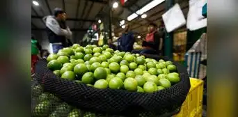 Precio del limón se mantiene alrededor de los S/9 el kilogramo en mayoristas