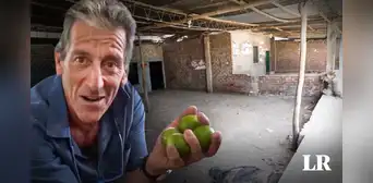 Tío Lenguado muestra mercado de Piura tras incremento del precio del limón: "Parece un cementerio" Tío Lenguado muestra mercado de Piura tras incremento del precio del limón: "Parece un cementerio"