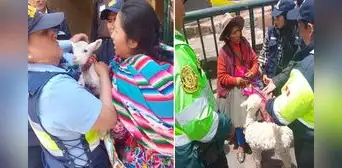 Rescatan a 4 animalitos tras fiscalización a mujeres que lucran con fotos en Cusco