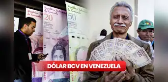 Precio del dólar BCV HOY, lunes 9 de octubre: tasa oficial según Banco Central de Venezuela