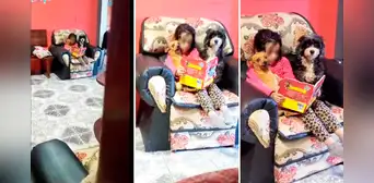 Niña roba corazones en redes al sentarse junto a sus mascotas para contarles un cuento