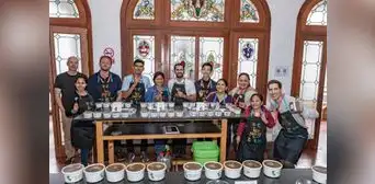 Cafés del Cajamarca y Cusco se impusieron en el Concurso Golden Cup 2023 Cafés del Cajamarca y Cusco se impusieron en el Concurso Golden Cup 2023