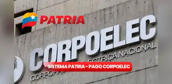 Sistema Patria: ¿cómo pagar Corpoelec con el dinero de los bonos? Guía fácil