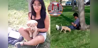 Estudiante de la UNI va a clases en compañía de su mascota: “No lo puedo dejar solo en casa” Estudiante de la UNI va a clases en compañía de su mascota: “No lo puedo dejar solo en casa”