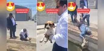 Cuatro ciudadanos se unen para rescatar a un perrito en Chiclayo y son virales: “Sus héroes”