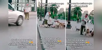 Adulto mayor sorprende al arriesgar su vida para alimentar a perros y gatos: “Qué gran ser humano” Adulto mayor sorprende al arriesgar su vida para alimentar a perros y gatos: “Qué gran ser humano”