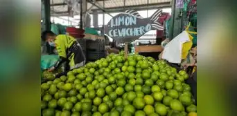 Precio mayorista del limón ha caído hasta 54% en lo que va de octubre