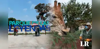 Nueva sede del Parque de las Leyendas: ¿dónde se ubica y cuánto cuestan las entradas? Nueva sede del Parque de las Leyendas: ¿dónde se ubica y cuánto cuestan las entradas?