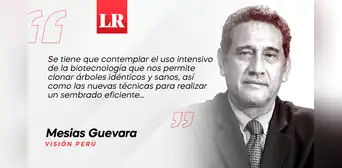 Perú, país forestal, por Mesias Guevara