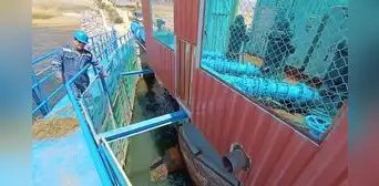 Puno está a punto de quedarse sin agua por reducción del lago Titicaca Puno está a punto de quedarse sin agua por reducción del lago Titicaca