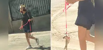 Mujer mexicana pasea a un 'pez' como si fuera un perro y asombra en las redes sociales