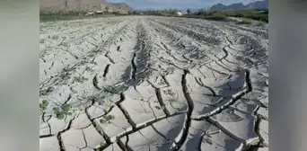 FAO: se han perdido US$3,8 billones en cultivos y ganado por catástrofes en los ultimos 30 años FAO: se han perdido US$3,8 billones en cultivos y ganado por catástrofes en los ultimos 30 años