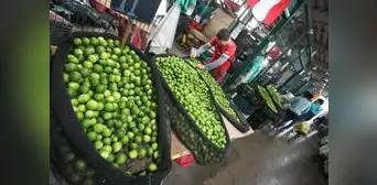 Precio del limón al por mayor retrocede hasta 64% en las dos primeras semanas de octubre