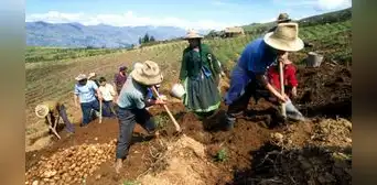 Oxfam advierte profunda crisis en la agricultura familiar peruana Oxfam advierte profunda crisis en la agricultura familiar peruana