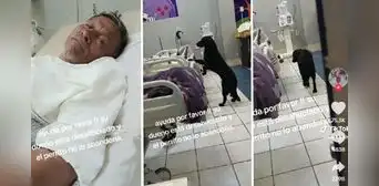 Adulto mayor en grave estado de salud pide que adopten a su perrito: “Yo estaré muy agradecido” Adulto mayor en grave estado de salud pide que adopten a su perrito: “Yo estaré muy agradecido”