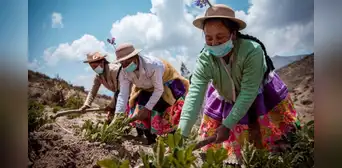 Mujer rural: el rostro invisible de la agricultura familiar