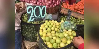 Precio del limón en Trujillo: cítrico bajo notablemente en mercado mayorista La Hermelinda Precio del limón en Trujillo: cítrico bajo notablemente en mercado mayorista La Hermelinda