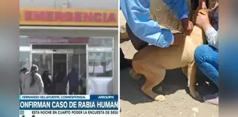 Arequipa: mujer que contrajo rabia humana se encuentra en UCI y con respirador artificial Arequipa: mujer que contrajo rabia humana se encuentra en UCI y con respirador artificial