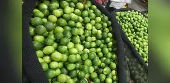 Precio del limón continúa bajando y cae hasta S/3 el kilogramo en mayoristas