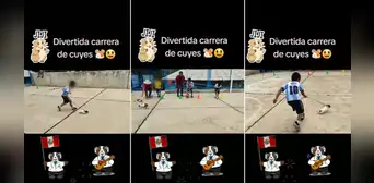 Niños compiten en carrera de cuyes en Áncash: “Olvidó a su conductor”