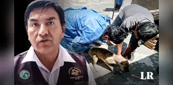 Rabia humana: ¿cómo prevenir este virus tras fallecimiento de paciente en Arequipa?