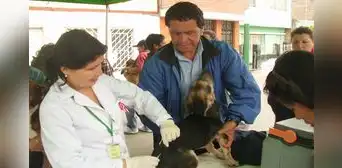 Arequipa: paciente con rabia sufre la peor etapa de la enfermedad