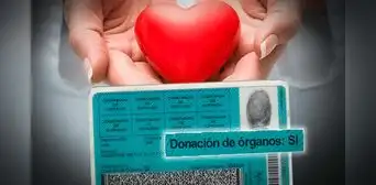 DNI: donantes de órganos podrían renovar GRATIS su documento de identidad DNI: donantes de órganos podrían renovar GRATIS su documento de identidad