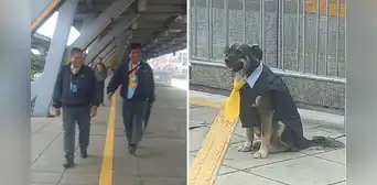 Perro vestido como trabajador del Metropolitano es sensación en la estación Naranjal: “Los choferes lo aman” Perro vestido como trabajador del Metropolitano es sensación en la estación Naranjal: “Los choferes lo aman”