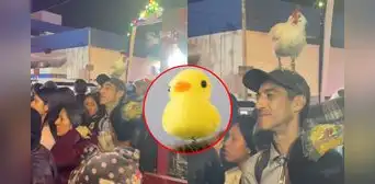 Ciudadano en Ica sorprende con gallina en la cabeza tras furor por patitos kawaii: “Otro level” Ciudadano en Ica sorprende con gallina en la cabeza tras furor por patitos kawaii: “Otro level”