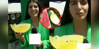 Periodista chilena conoce sandía amarilla de Perú por primera vez y queda asombrada: “Muy novedoso” Periodista chilena conoce sandía amarilla de Perú por primera vez y queda asombrada: “Muy novedoso”