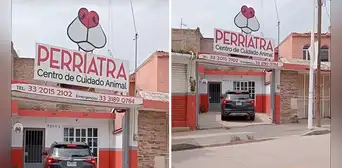 Perriatra, el gracioso nombre de una veterinaria que es viral en redes: “Los atiende una 'dogtora'”