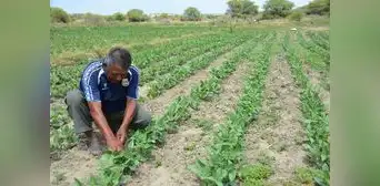 Agricultores preocupados por la seguridad hídrica en reservorios de región Piura