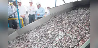 Produce autoriza segunda temporada de pesca en plena captura exploratoria Produce autoriza segunda temporada de pesca en plena captura exploratoria