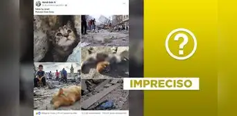 Posteo viral de animales heridos tras bombardeos en Gaza incluye fotos fuera de contexto Posteo viral de animales heridos tras bombardeos en Gaza incluye fotos fuera de contexto