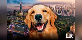 ¿Qué es el house sitting, la manera de viajar y hospedarse gratis por el mundo cuidando mascotas? ¿Qué es el house sitting, la manera de viajar y hospedarse gratis por el mundo cuidando mascotas?