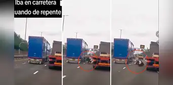 Vaca sorprende a conductores al caer de enorme camión en pleno movimiento: “Libre, pero a qué costo” Vaca sorprende a conductores al caer de enorme camión en pleno movimiento: “Libre, pero a qué costo”