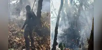 Piden apoyo aéreo para controlar incendio forestal que tiene 4 días activo en San Martín Piden apoyo aéreo para controlar incendio forestal que tiene 4 días activo en San Martín