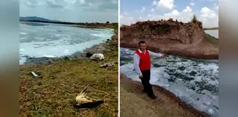 Puno: juez ordena a empresa SEDA Juliaca suspender vertimiento de aguas servidas a río Coata Puno: juez ordena a empresa SEDA Juliaca suspender vertimiento de aguas servidas a río Coata