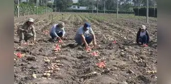 La Libertad: informalidad de productores les impide acceder a ayuda del Estado