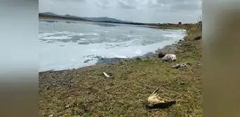 Puno: aguas negras de Juliaca no serán vertidas a río Coata Puno: aguas negras de Juliaca no serán vertidas a río Coata