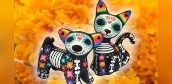 Día de Muertos de MASCOTAS 2023: ¿a qué hora llegan los ANIMALES FALLECIDOS a sus altares? Día de Muertos de MASCOTAS 2023: ¿a qué hora llegan los ANIMALES FALLECIDOS a sus altares?