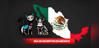 Día de Muertos en México 2023 HOY: ¿cuándo llegan las mascotas FALLECIDAS y qué debe incluir su altar? Día de Muertos en México 2023 HOY: ¿cuándo llegan las mascotas FALLECIDAS y qué debe incluir su altar?