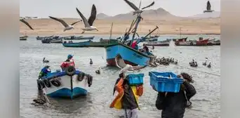 Fenómeno El Niño 2023: ¿qué pescados y mariscos estarán disponibles estos meses? Fenómeno El Niño 2023: ¿qué pescados y mariscos estarán disponibles estos meses?