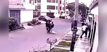 ¿Nueva modalidad? Hombre se hace pasar como paseador de perro y roba celular en Surco